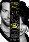Silver linings poster